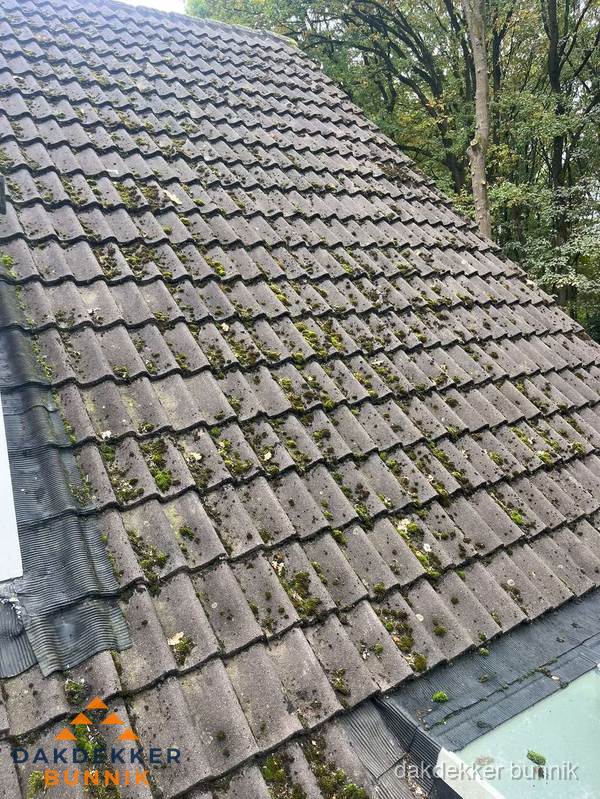 Verweerd pannendak met mosgroei dat renovatie nodig heeft in Bunnik