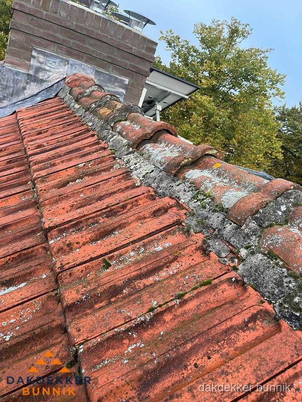 Verweerd hellend dak met mosgroei op nokvorst in Bunnik