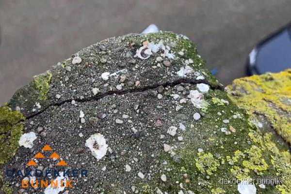 Beschadigde en verweerde nokvorst met scheuren en mos in Bunnik