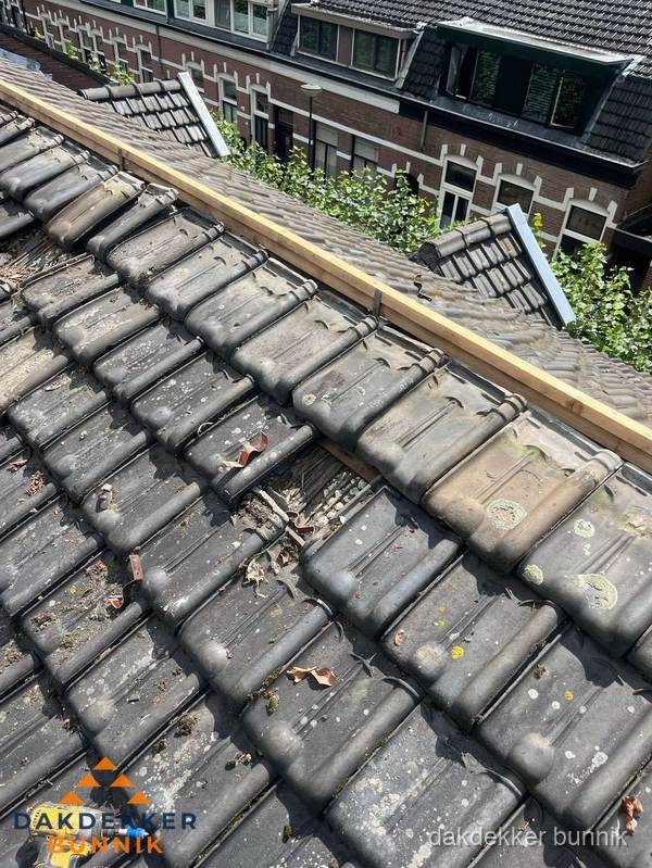 Dakonderhoud aan schuin pannendak met nokvernieuwing in Bunnik
